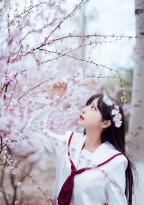 777片理伦片在线观看